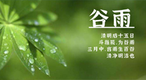 【二十四節(jié)氣灸】谷雨時(shí)節(jié)，用艾為您的健康加上一道保險(xiǎn)！