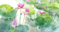【養(yǎng)生知識(shí)】花開(kāi)半夏，夏至養(yǎng)生，這些知識(shí)一定要牢記！