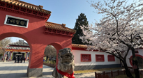 【行業(yè)資訊】新華財(cái)經(jīng)：守正創(chuàng)新，中醫(yī)藥品牌化發(fā)展“更上一層樓”！