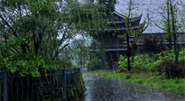 【艾灸知識】多雨的日子里，艾灸會不會加重濕氣呢？