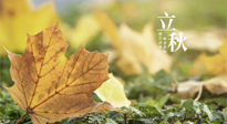 【節(jié)氣養(yǎng)生】甲辰立秋，“2做”、“2不做”，護好我們身體的正氣，預防外邪的侵襲！