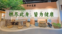 【艾草知識(shí)】小小艾草，渾身是寶，一生燃盡此身，皆為健康！